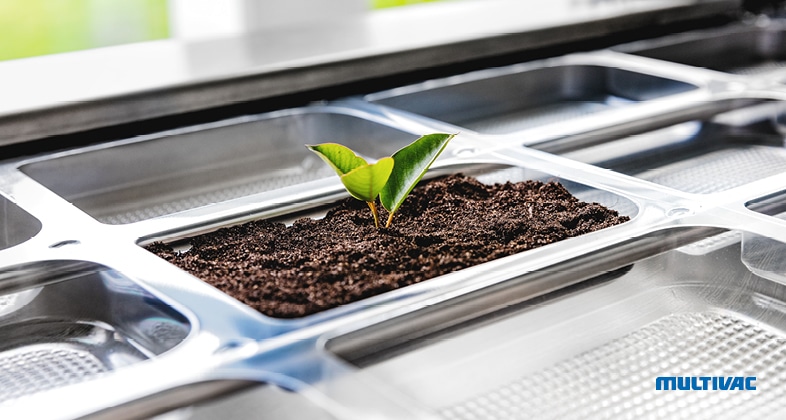 multivac-sustainability-1.jpg