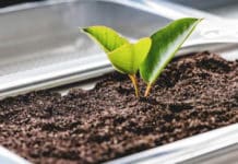 Multivac maakt plasticbesparend en verantwoord verpakken mogelijk