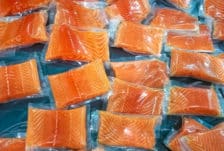 multivac-zalm-xl