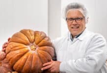 Bedrijfsfilm Tuinderij Vers neemt je mee achter de schermen