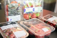 packhuys-verpakkingen