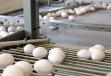 Herkomst verwerkt ei komt mogelijk verplicht op verpakking