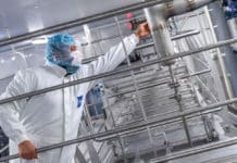 Quik’s start eerste productielijn voor aardappelen in nieuwe fabriek op