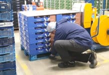 Banken Champignons gebruikt horizontale en verticale omsnoeringsmachine