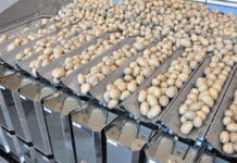 Sarco Packaging laat nieuwste weger van Manter van dichtbij bewonderen