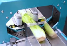 Sarco ontzorgt klanten tot in de puntjes met banderolleermachines