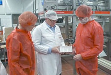 schut-pillo-film
