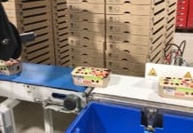 DS Smith ontwikkelt 100% kartonnen verpakkingen voor tomaten