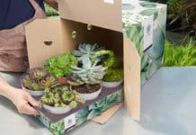 Solidus Solutions breidt productportfolio uit met overname van GMP