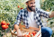 Coronacrisis heeft slechts beperkte invloed op agrarische sector