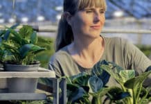 Twinpack introduceert duurzame tray voor transport van planten