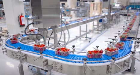 ulma-strawberry-468x250.jpg