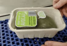 Trofi Pack breidt machinepark uit met twee traysealers van Ulma