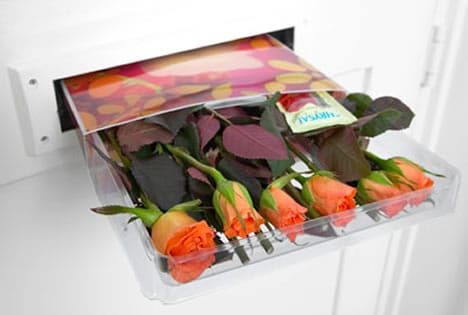 Naar verwachting viert bijna een kwart van de Nederlanders vandaag Valentijnsdag. Van de mensen die iets ondernemen of kopen voor 14 februari geeft ruim 27 procent een bloemetje. In aanloop naar Valentijnsdag ontstond de laatste dagen nog enige opschudding bij ’s werelds grootste bloemenveiling FloraHolland. Stakingsacties van de vakbonden dreigden ervoor te zorgen dat niet aan de extra vraag naar bloemen kon worden voldaan, maar de acties hadden uiteindelijk slechts vertragingen tot gevolg.