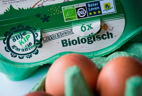 omvatten Fabriek Instrueren verpakking-eieren | Pack Online