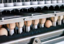 Investeringsmaatschappij verwerft belang in familiebedrijf Viscon