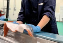 Urk zit volop in de lift en bruist van de seafoodambities