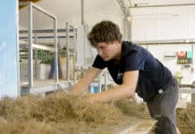 Wageningse onderzoekers zetten gras om in papier en karton