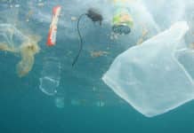 WUR analyseert grootste hoeveelheid plastic rivierafval tot nu toe