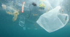 wur-plasticsoep-234x125.jpg
