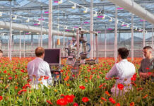 WUR Agro Food Robotics-programma gaat volgende fase in